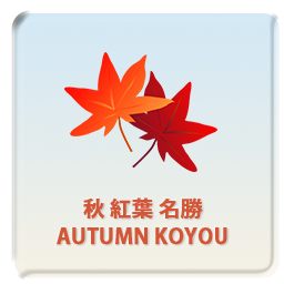 秋 紅葉 名勝 AUTUMN KOYOU