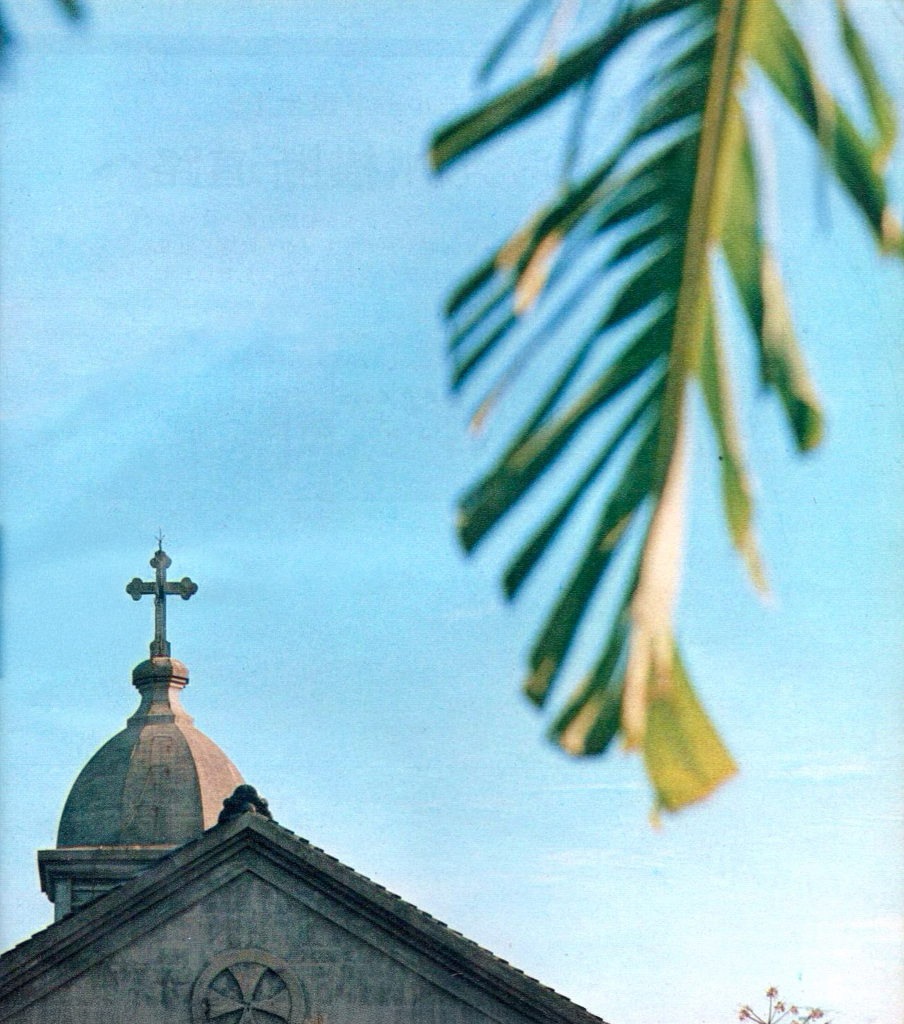 日本 地図 見やすいデジタルマップ